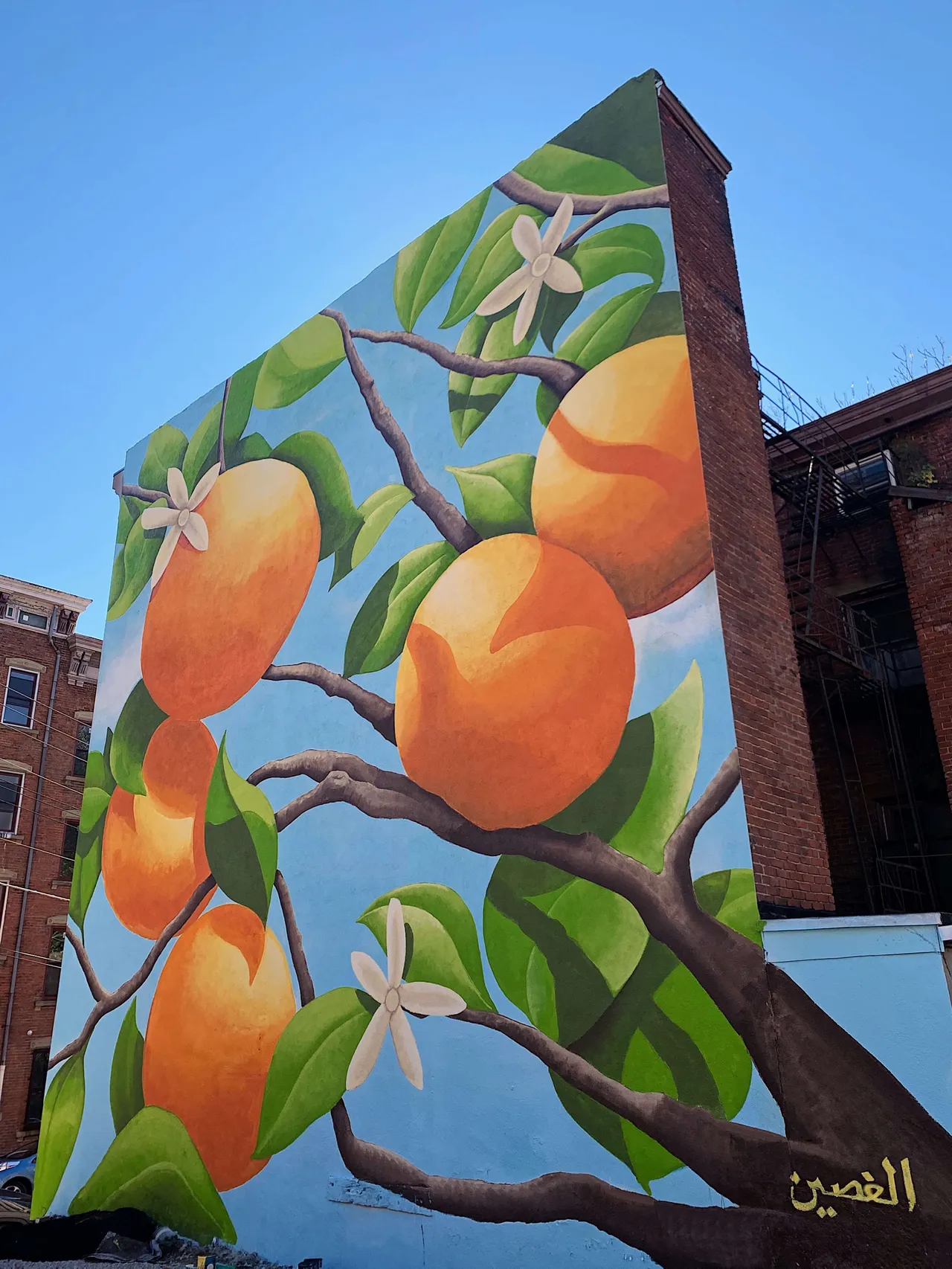 The finished Welcome to Jaffa mural: oranges and white blossoms on leafy branches covering the side of a brick building